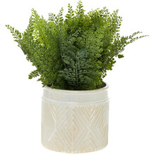 Green Artificial fern plant