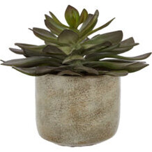 Artificial succulent