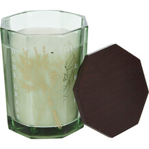 Green Dune Grass and Kelp Candle