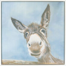 Wilbur Donkey Canvas