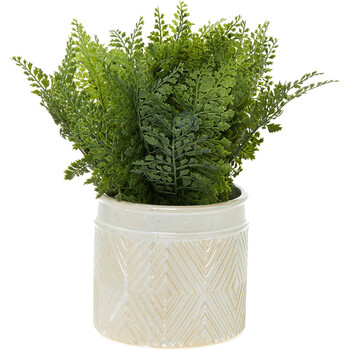 Green Artificial fern plant