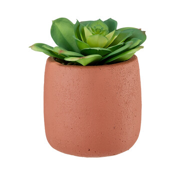 Vetplant pot