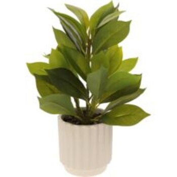 Green artificial plant in white pot
