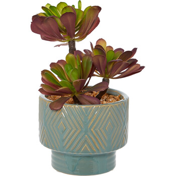 Purple and Green Artificial Succulent