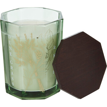 Green Dune Grass and Kelp Candle