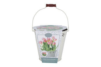 FI4644 TK MAXX BULB PLANTER 207